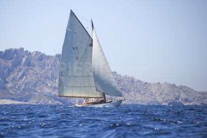 A29X8831.jpg