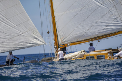 A29X8570.jpg