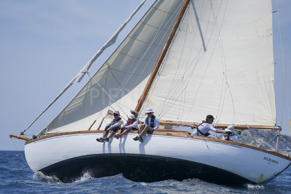 VVP_2023-08672.jpg