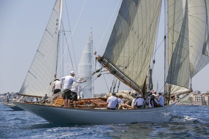 O60A7789.jpg