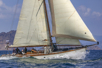 O60A6525.jpg