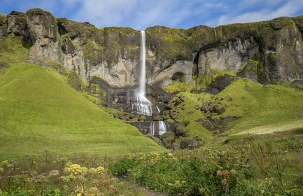 A29X4508.jpg