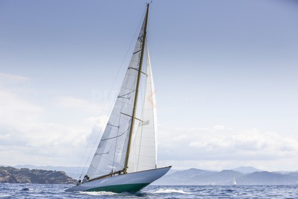 O60A7504.jpg