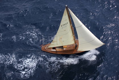 Windhover