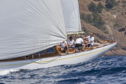 A29X7470.jpg
