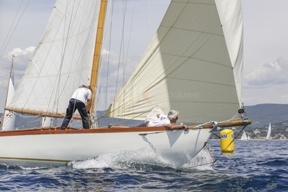 O60A7064.jpg