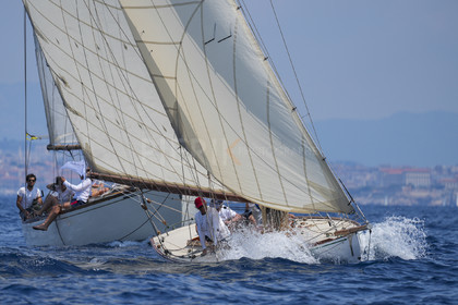 VVP_2023-07804.jpg