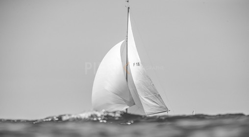 A29X8687.jpg