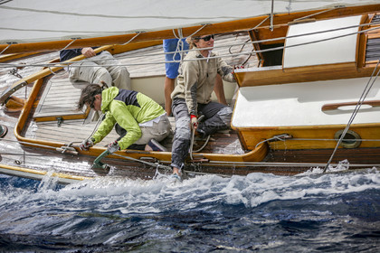 O60A3165.jpg