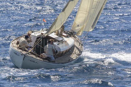 O60A1479.jpg