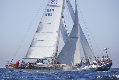 A29X8934.jpg