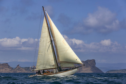 O60A6510.jpg