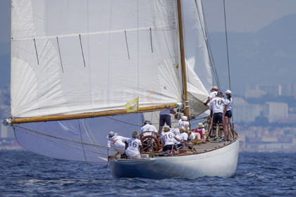 VVP_2023-7672.jpg