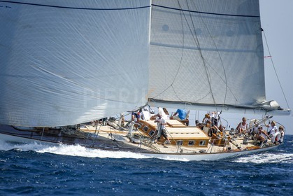 A29X1683.jpg
