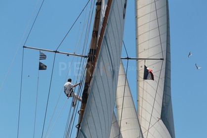 Moonbeam IV