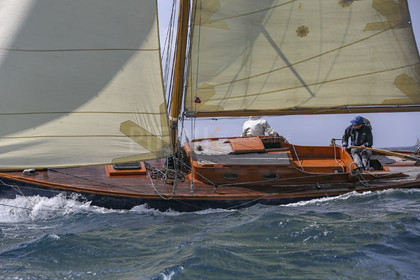O60A5603.jpg