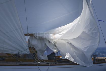 A29X7233.jpg