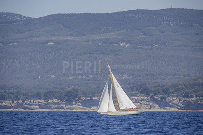A29X9347.jpg