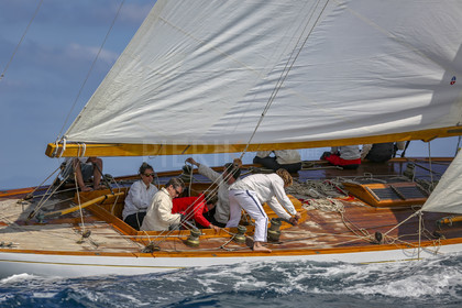 O60A6668.jpg