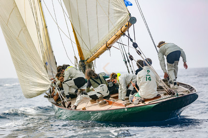 O60A9422.jpg