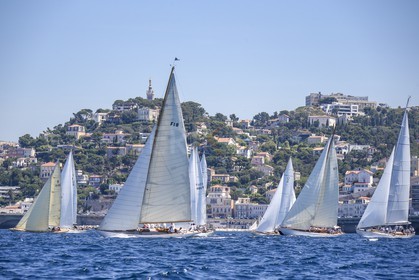A29X9865.jpg