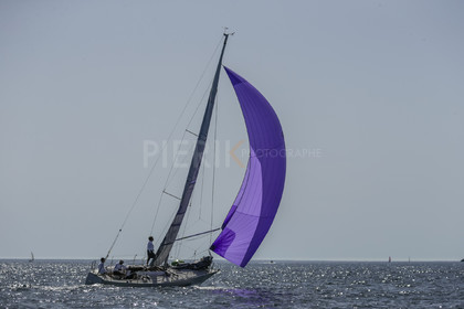_29X0546.jpg