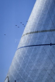 SNIM23_Pierik-06588.jpg