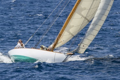 O60A1495.jpg