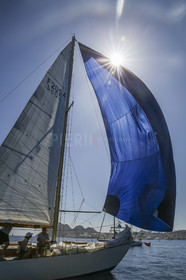 O60A8550.jpg