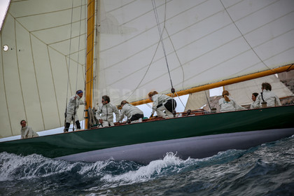 O60A7832.jpg