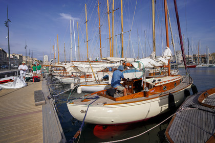 DSC09444.jpg