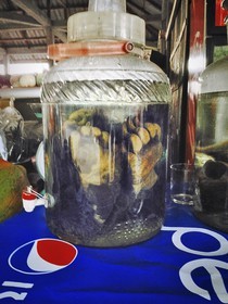 photo4.jpg