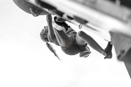 A29X8247.jpg