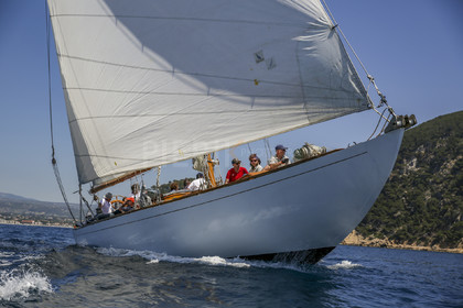 O60A8437.jpg