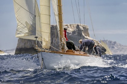 A29X1621.jpg