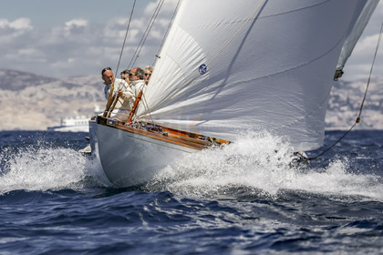 A29X1233.jpg