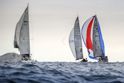 VireVire2014-281.jpg