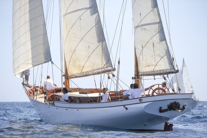 A29X6009.jpg