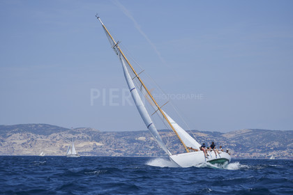 VVP_2023-08526.jpg