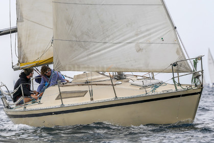 VireVire2014-12.jpg