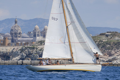 VVP_2023-08623.jpg