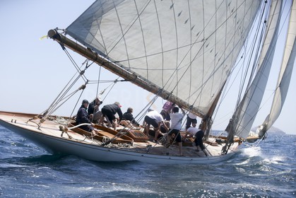 A29X6730.jpg