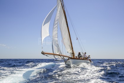 O60A5786.jpg