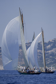 _DSC8100-b.jpg