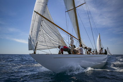 O60A0240.jpg
