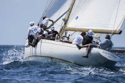 VVP_2023-08563.jpg
