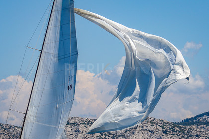 A29X4434.jpg