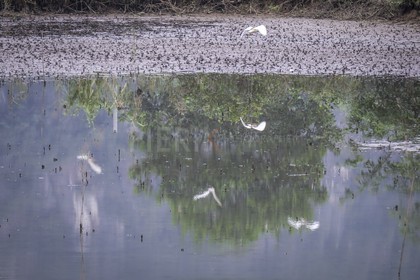 Tam Coc-27.jpg