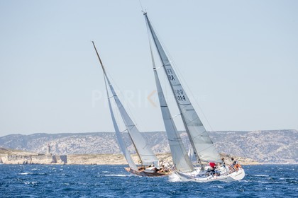 A29X8139.jpg