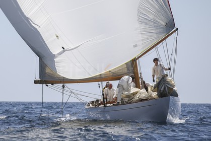 A29X6081.jpg